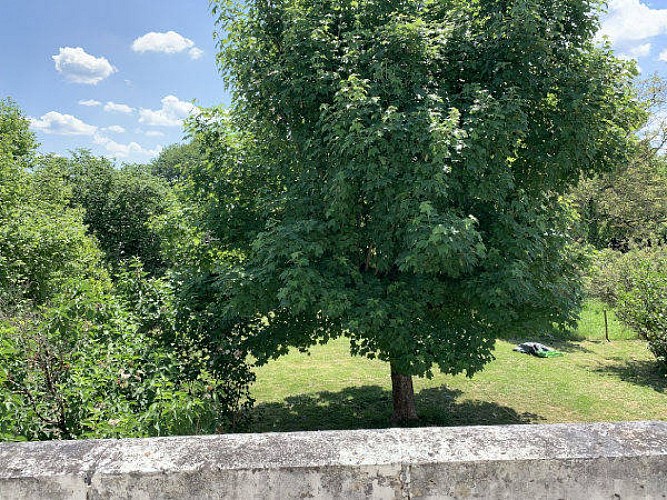 Chambre-bleue-foto-6-vue-balcon