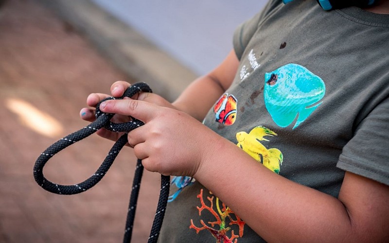 Les Voiles S'en Mêlent