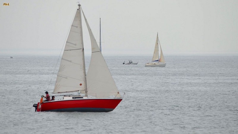 LVSM_CAPBRETON_OTILAS