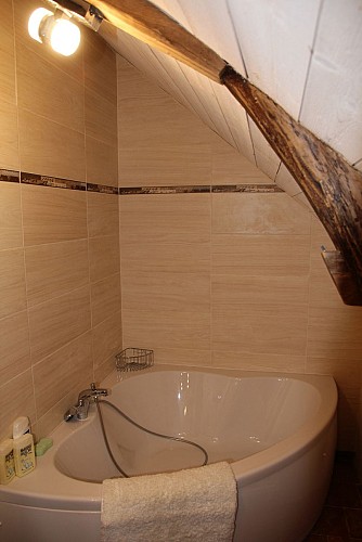 Chambres d'hôtes Doué's Mansion