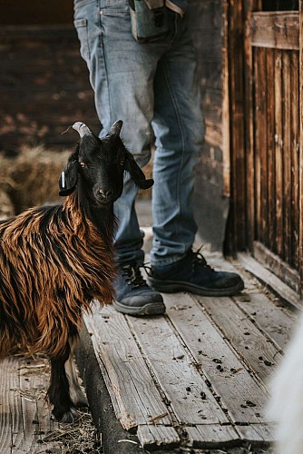 CAMILLE-MARIE-VAVOIRHIGHER-LESCARASSES-OCT23-179