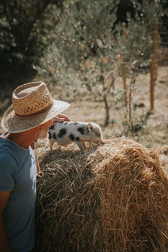 CAMILLE-MARIE-VAVOIRHIGHER-LESCARASSES-OCT23-174