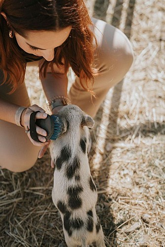 CAMILLE-MARIE-VAVOIRHIGHER-LESCARASSES-OCT23-166