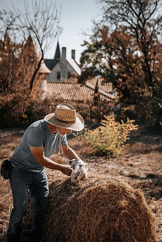 CAMILLE-MARIE-VAVOIRHIGHER-LESCARASSES-OCT23-168