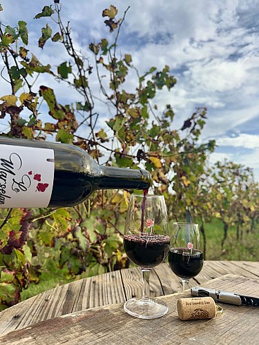 Domaine Saint-Laurent de Saurs