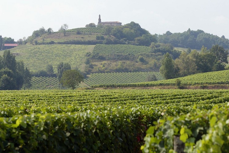 Château Clément Termes