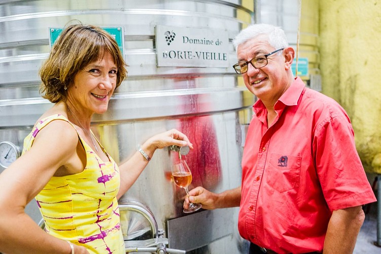 Domaine de Borie Vieille