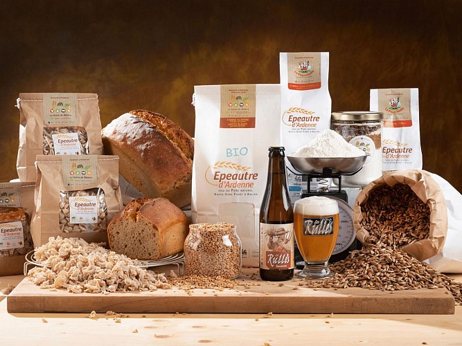 Epeautre d'Ardenne