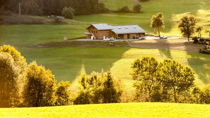 La Chèvrerie de la Pierre à Laya