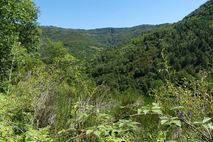 Vallée de la Baume Dolente