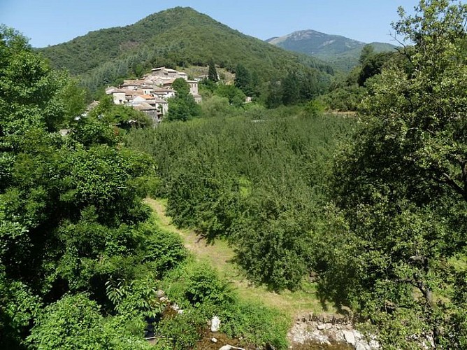 Le hameau d'Arboux et ses vergers