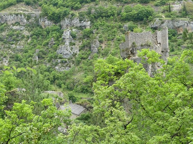 Château de Castelbouc
