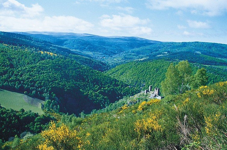 Vue sur le mont Lozère et sur le château du Tournel