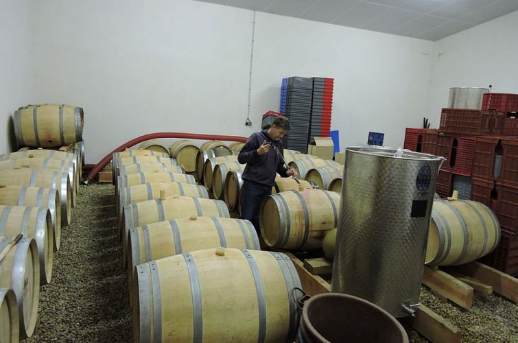 La cave viticole d'Ispagnac