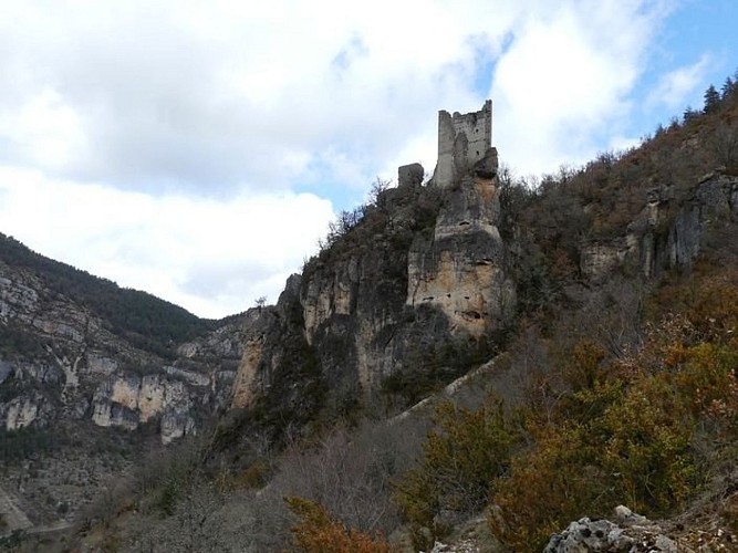 Le château de Hauterives