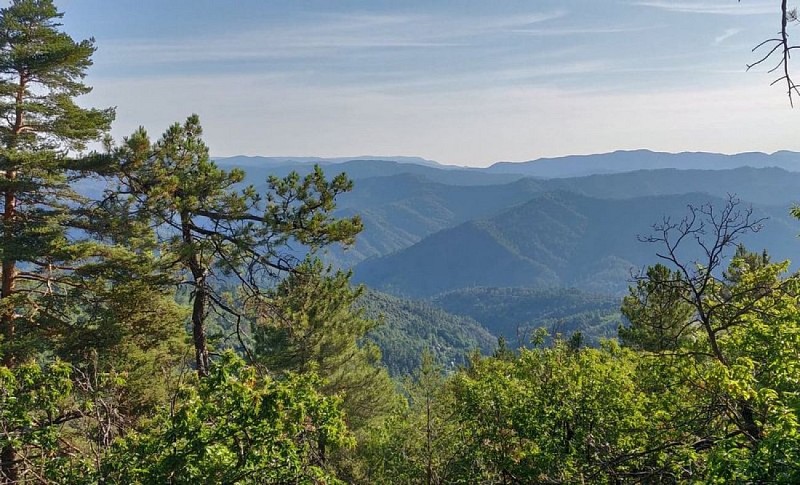 Route de la Corniche des Cévennes