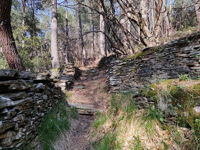 Sentier délimité par des murets en pierres sèches