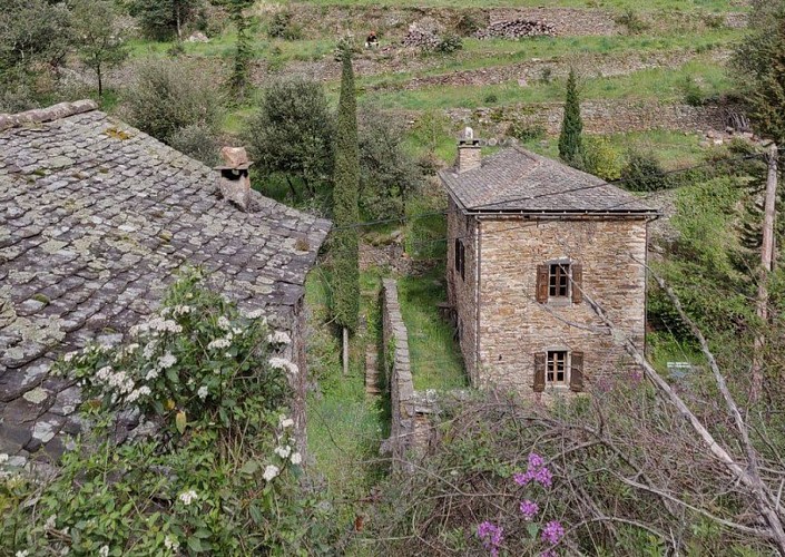 Habitat en pierre et toit de lauzes dans le valat des vignes