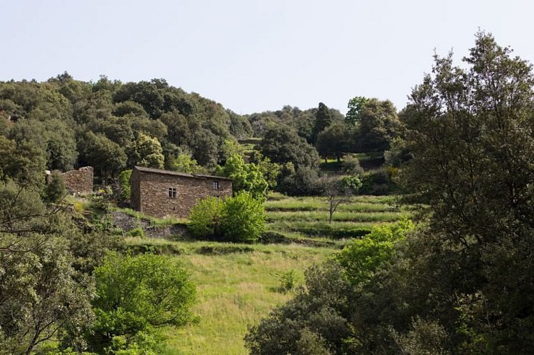 Mas Chapatal, la Roquette