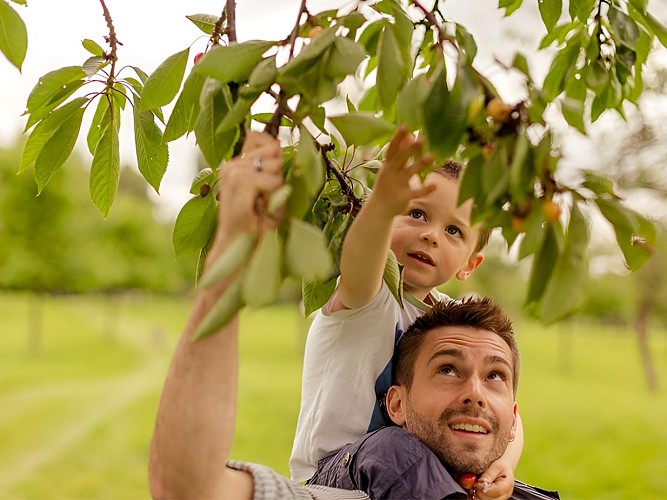 Producteur un jour Apreval