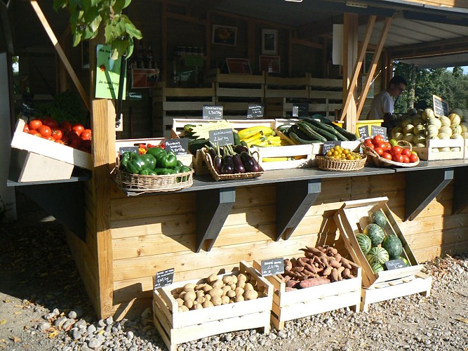 Maraîchage, Boule d'Or - St Michel