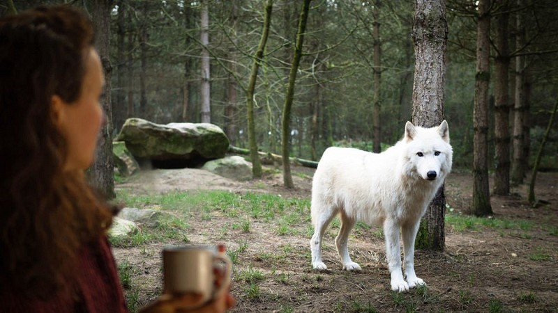 LODGES LEGENDIA  PARC