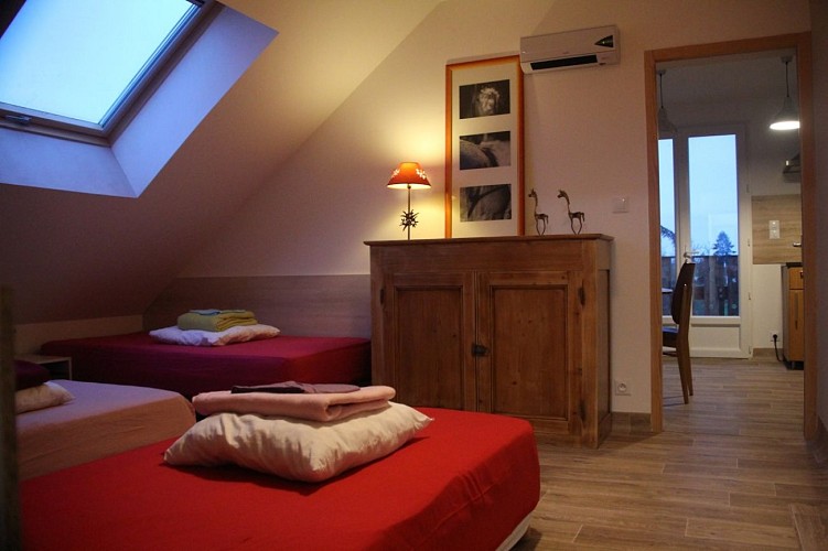 HLO-ING-Les_anes_de_Medeina-chambre-2021.04.08®Agnes_Faucon