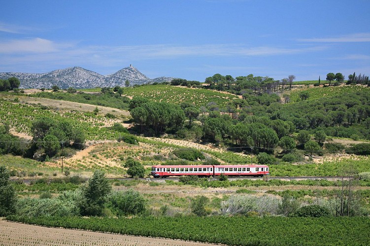 TPCF - Le Train Rouge / ESPIRA-DE-L'AGLY