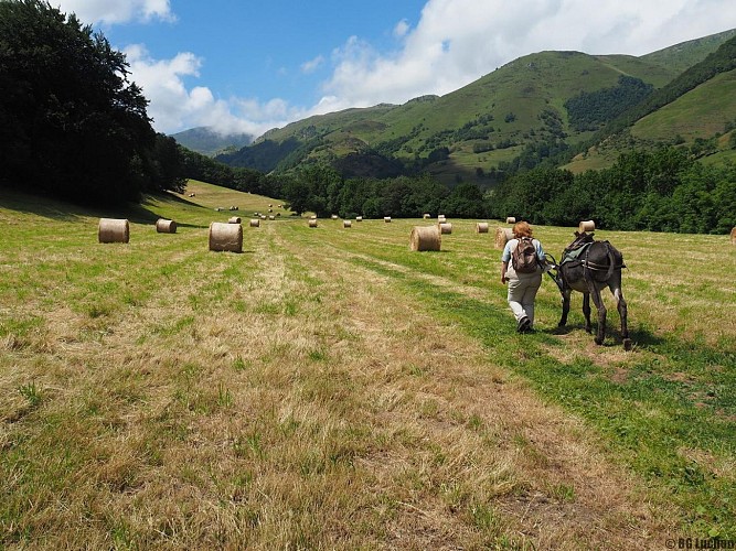 BUREAU DES GUIDES DE LUCHON