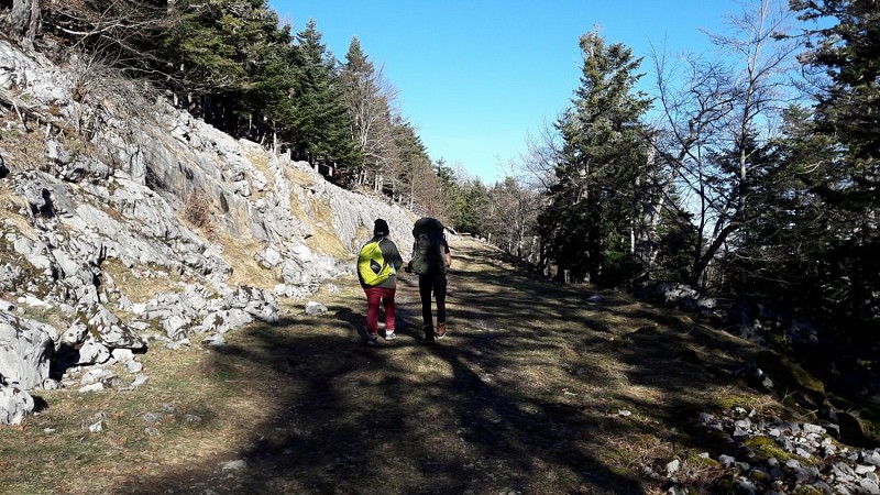 2018_01_23_RANDO_MOURTIS_©CDT31_154530