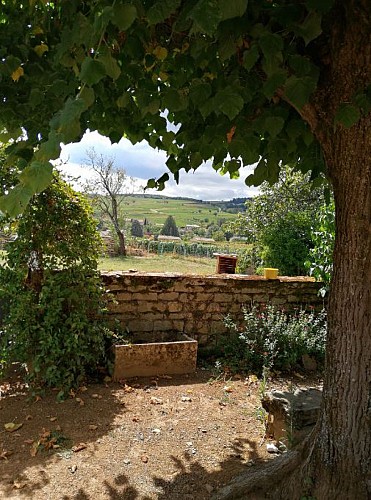 A l'ombre du tilleul