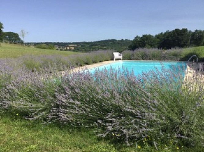 Gîte and Retreat - piscine