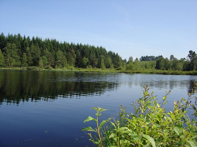 Lac de Faux la Montagne - Carpe de nuit