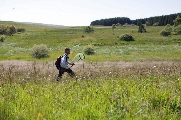 Réserve Naturelle des Sagnes de la Godivelle