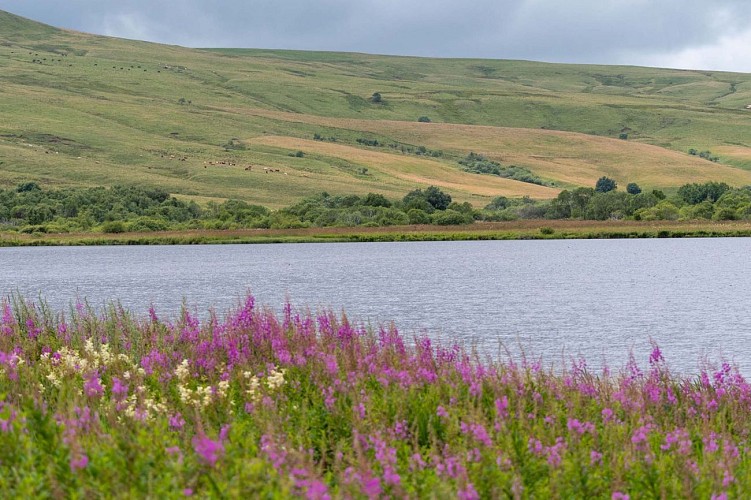 Réserve Naturelle des Sagnes de la Godivelle