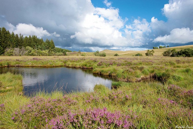 Réserve Naturelle des Sagnes de la Godivelle