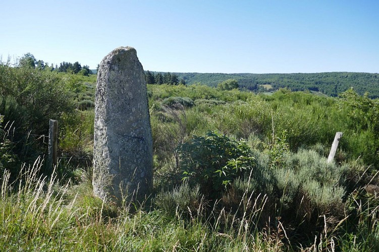 Menhir