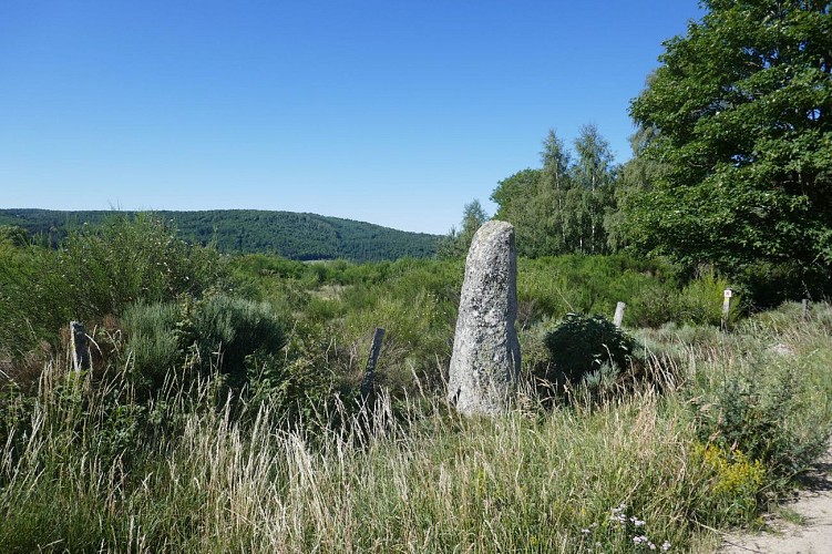 Menhir