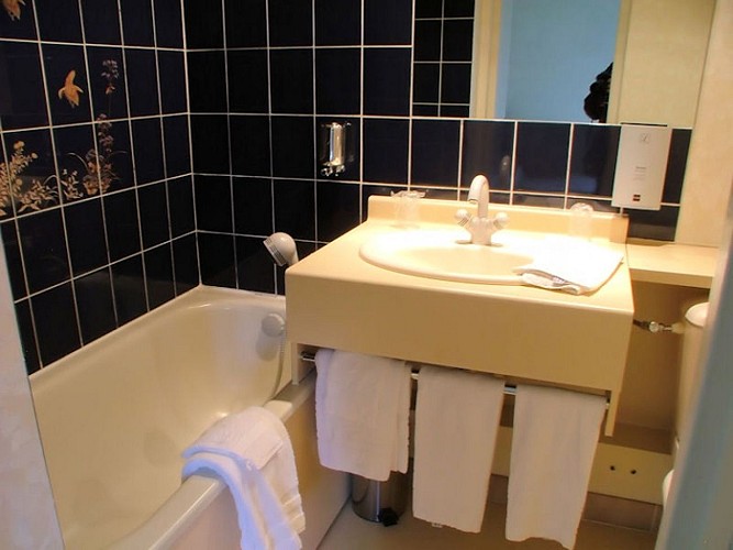 hotel-auberge-a-la-Tete-de-Lard-La-Ferte-Imbault-4