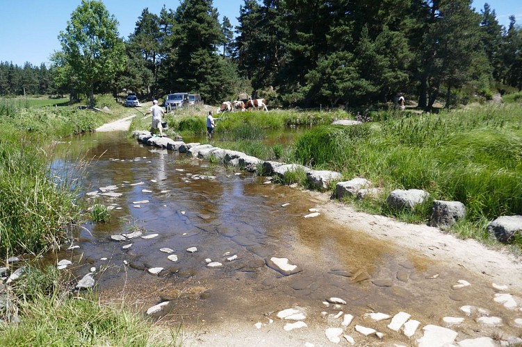 Passage de gué aménagé