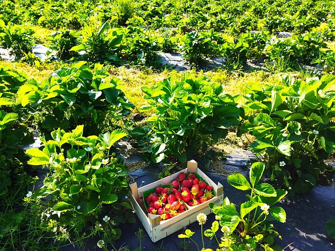 LES JARDINS DE LA MARIN