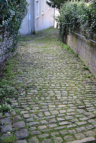 Les escaliers Lambermont