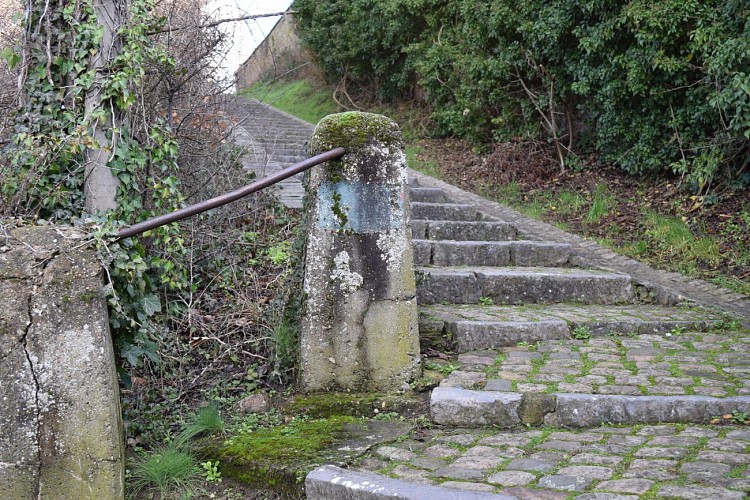 Les escaliers Lambermont