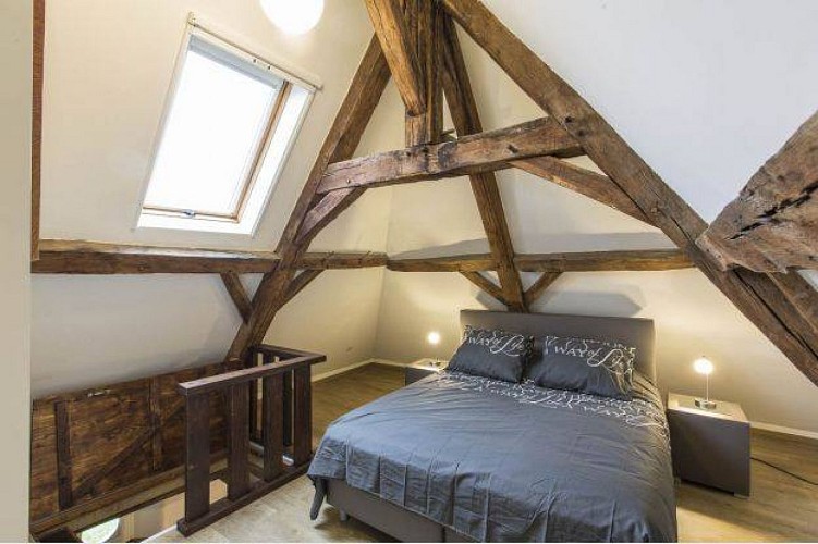 13876266_1678752292447570_298789016594557102_n