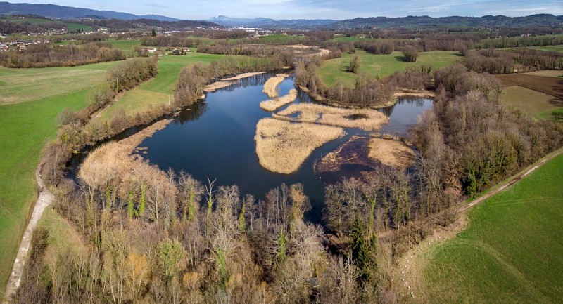 Etangs de Crosagny