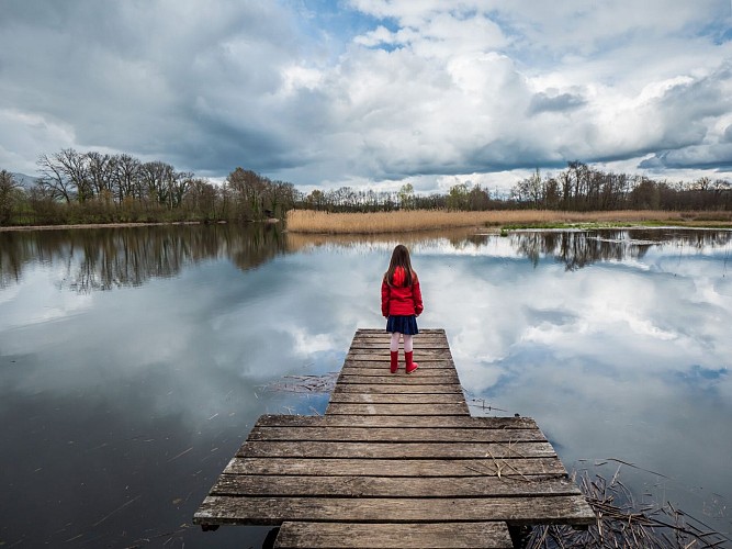 Etangs de Crosagny