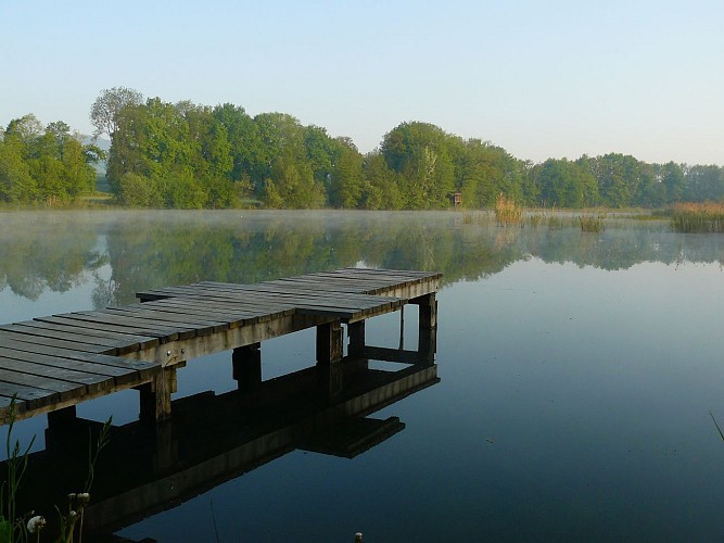 Etangs de Crosagny