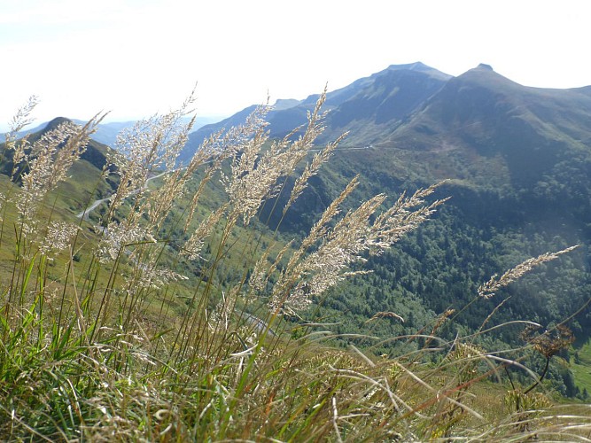 Vue panoramique au Puy Mary