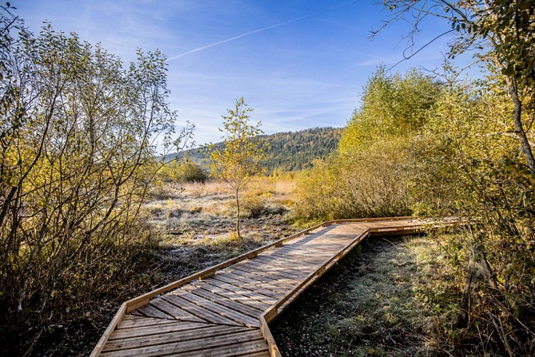 Passerelles du Marais de Vaux