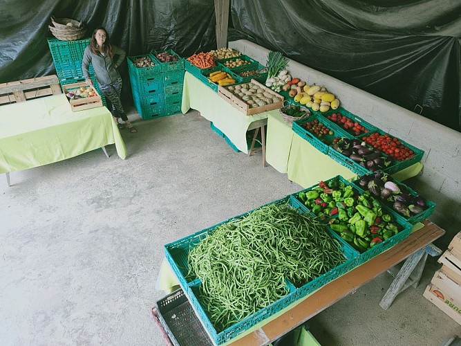 118916126_1682075718621843_3552875290121943990_o